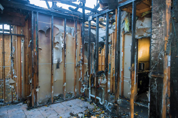 Professional Odor Removal technician working in Doolittle, TX